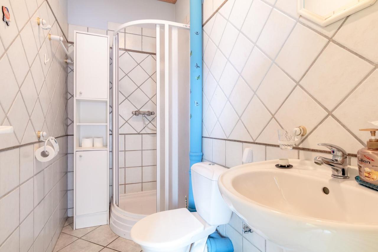 Farma Slunecny Dvur Apartmany A Family Stany Strecha Pod Strechou Hermanuv Mestec Dış mekan fotoğraf