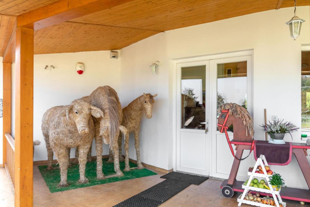 Farma Slunecny Dvur Apartmany A Family Stany Strecha Pod Strechou Hermanuv Mestec Dış mekan fotoğraf
